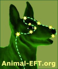 EFT Tapping Points On A Dog EFT Tapping Points On A Dog