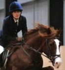 EFT For Training & Competing With Animals EFT For Training & Competing With Animals