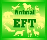 EFT For Animals - What Is EFT For Animals?